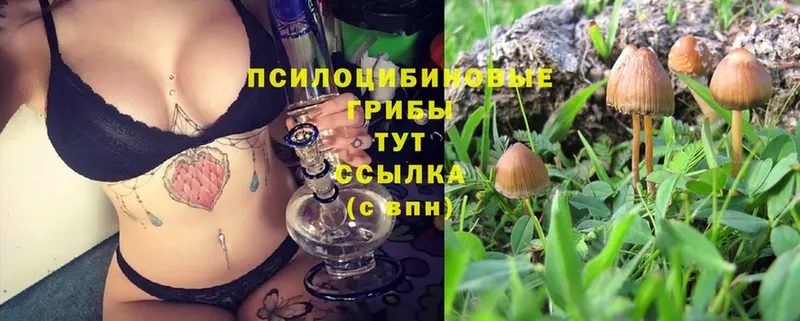 Псилоцибиновые грибы GOLDEN TEACHER  Ворсма 